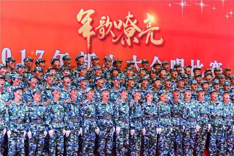 小猫钓鱼正版下载中文版
